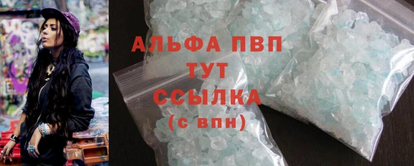 крисы Баксан