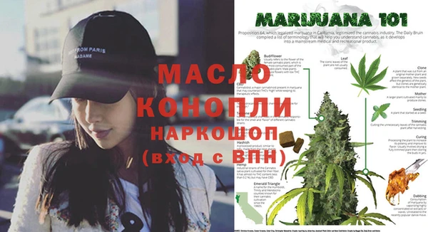 крисы Баксан