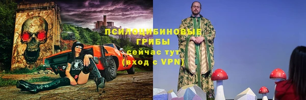 крисы Баксан