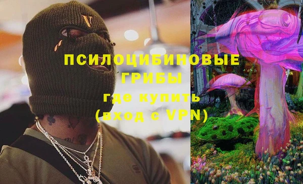 крисы Баксан