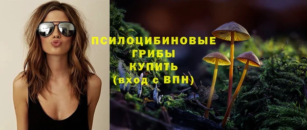 кокс Калининец