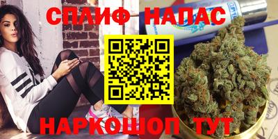 стафф Абакан