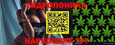 эйфоретик Абинск