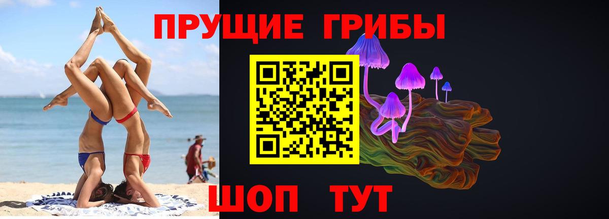 Балабаново  Галлюциногенные грибы прущие грибы  Галлюциногенные грибы Psilocybine cubensis  Вход с VPN 