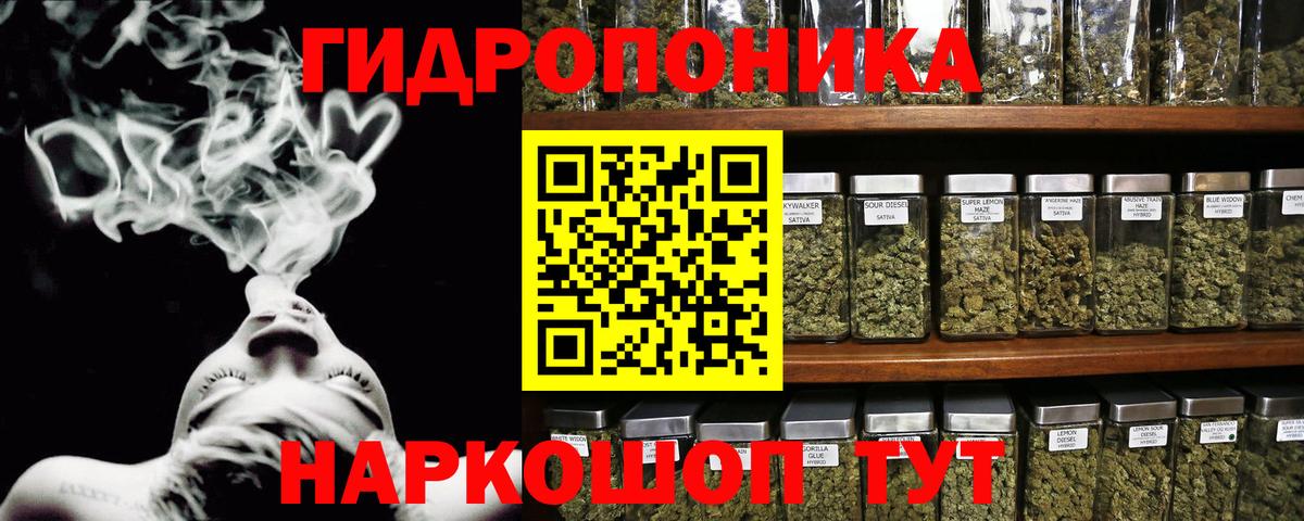 Конопля гибрид Балабаново
